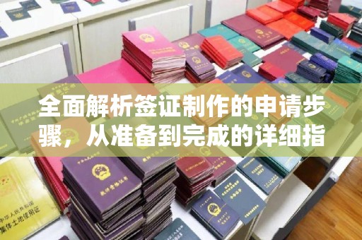 海宁全面解析签证制作的申请步骤，从准备到完成的详细指南